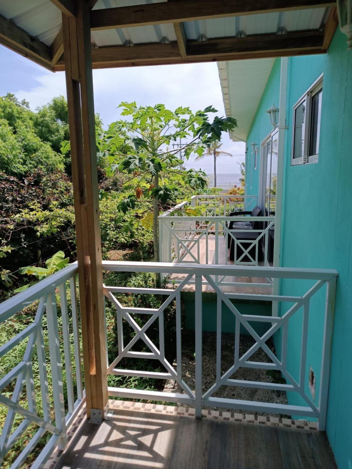 Villa Blue Lizard House San Andrés Exterior foto
